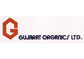 Gujarat Organics Ltd.